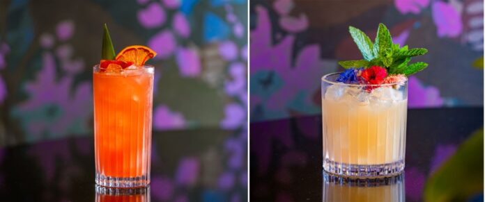 Broken Spell Lounge and Palm Breeze Bar - Disneyland Foodie Guide