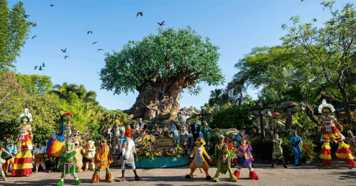 Animal Kingdom Tree of Life