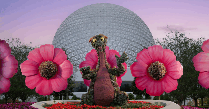 Epcot Flower & Garden