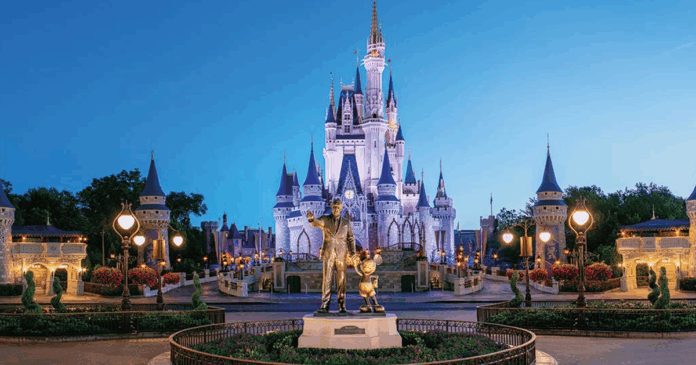 Magic Kingdom Castle