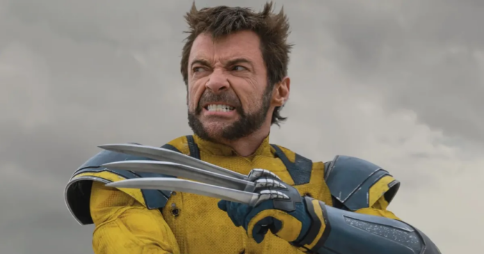Wolverine